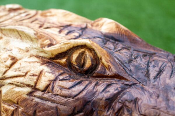 Carved Alligator 04