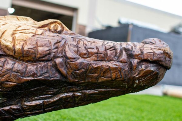 Carved Alligator 08