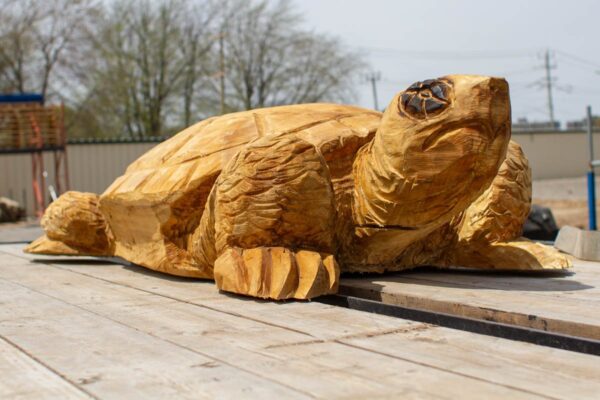 Carved Turtle 06