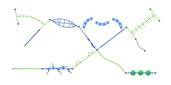 Six Arrows - Image 2